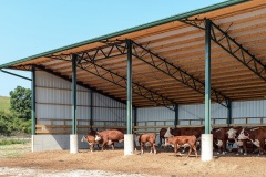 livestock-09