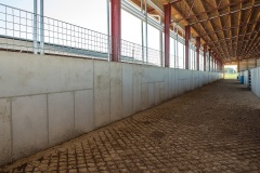 livestock-17