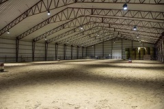 equine-09