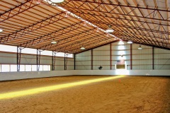 equine-12