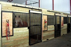 equine-14