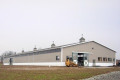 equine-17