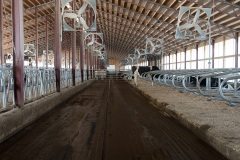 kbuilding-16